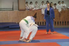 Judo_-353