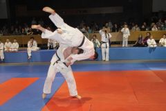Judo_-363