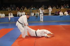 Judo_-364