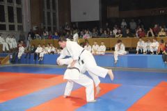 Judo_-365
