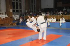 Judo_-366