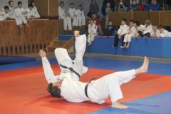 Judo_-367