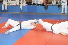 Judo_-369