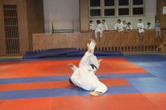 Judo_-377