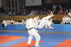 Judo_-381