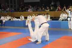 Judo_-382