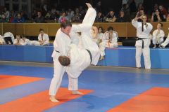 Judo_-383
